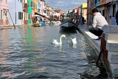 Boat Tours - Vidal Venice Tours