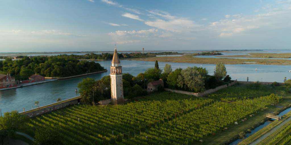 Venetian Wines