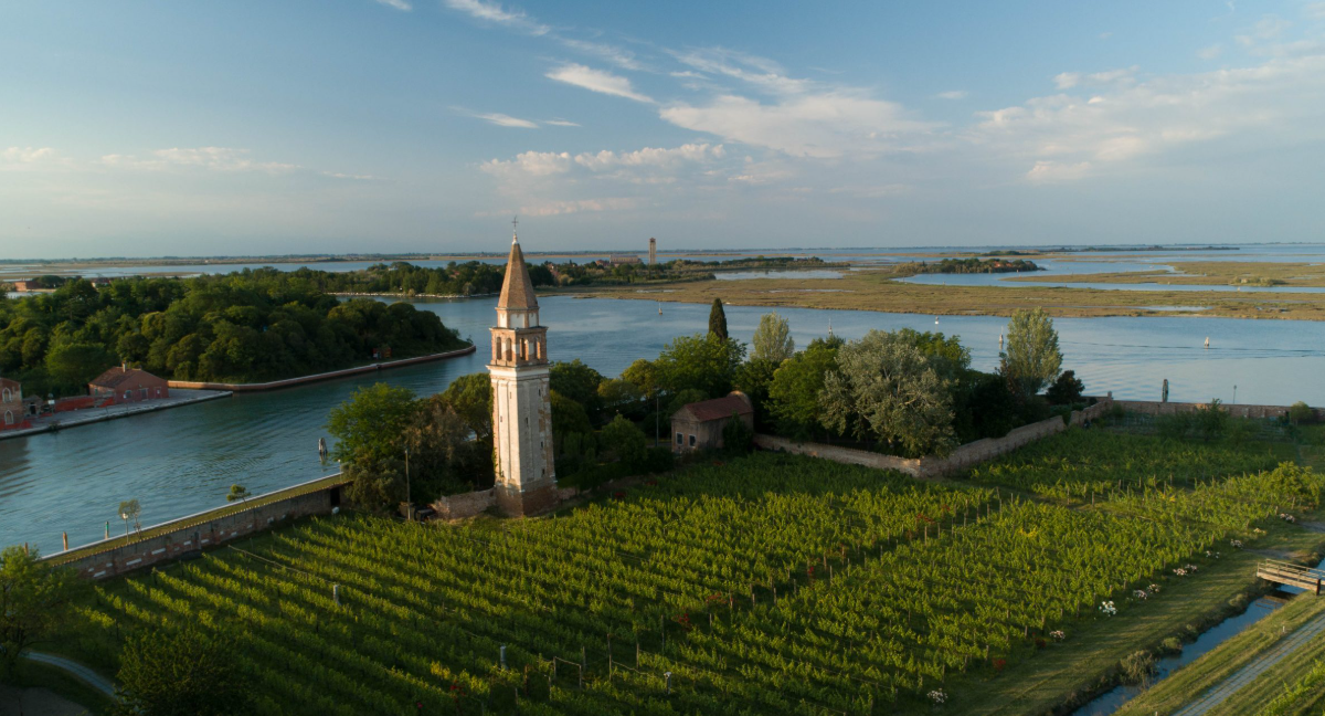 Venetian Wines
