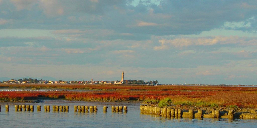 Plants and Vegetation of the Venetian Lagoon