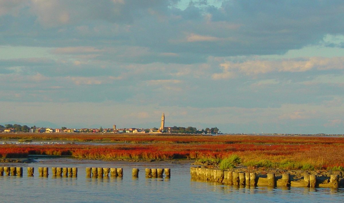 Plants and Vegetation of the Venetian Lagoon