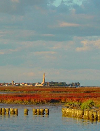Plants and Vegetation of the Venetian Lagoon